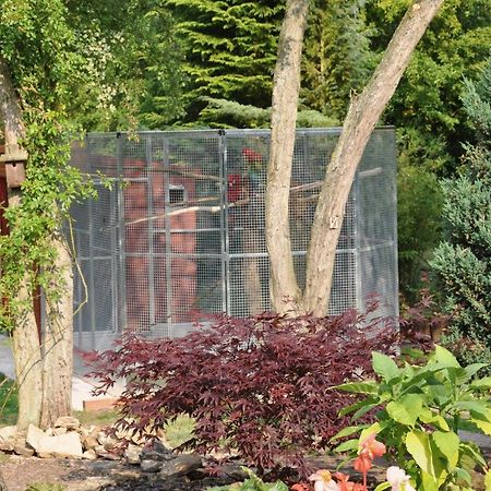 The Willows Bed & Breakfast York Bagian luar foto