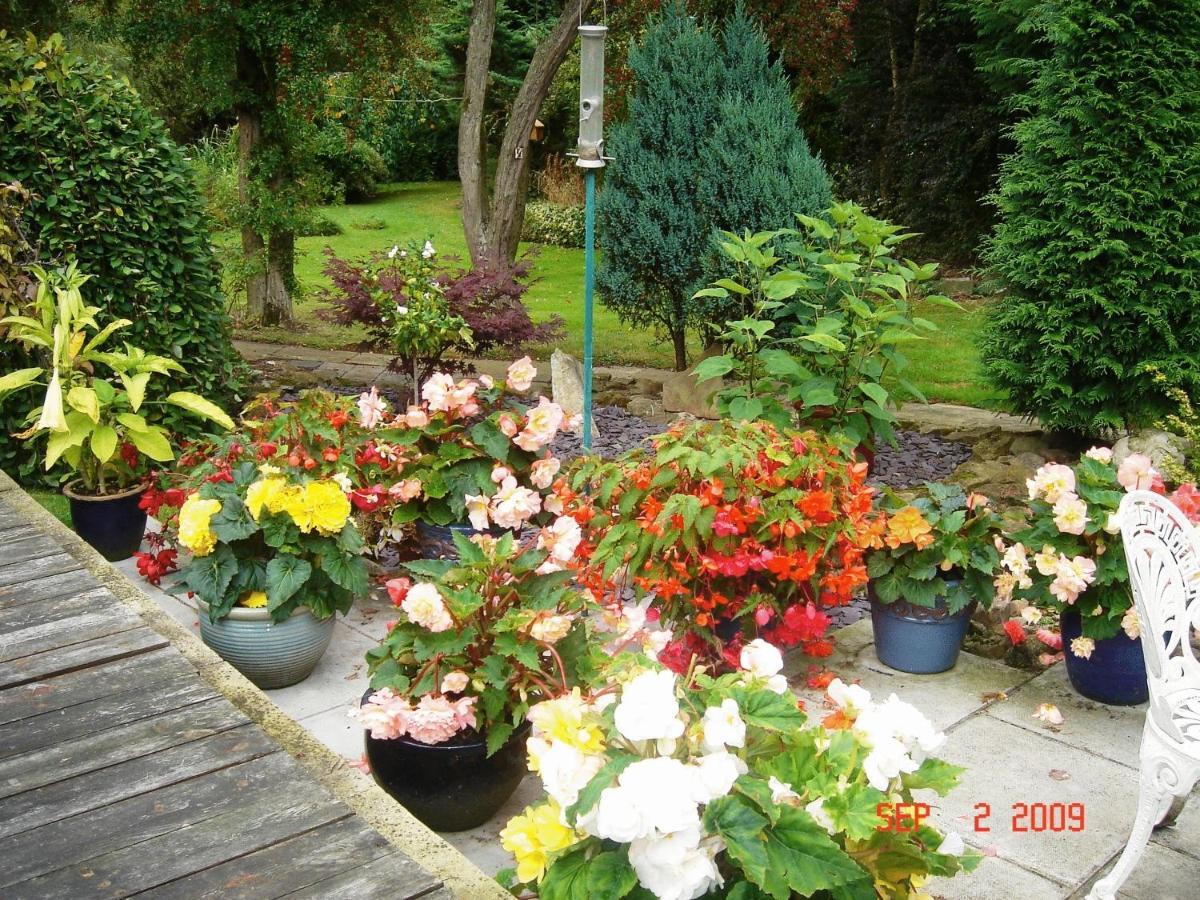 The Willows Bed & Breakfast York Bagian luar foto